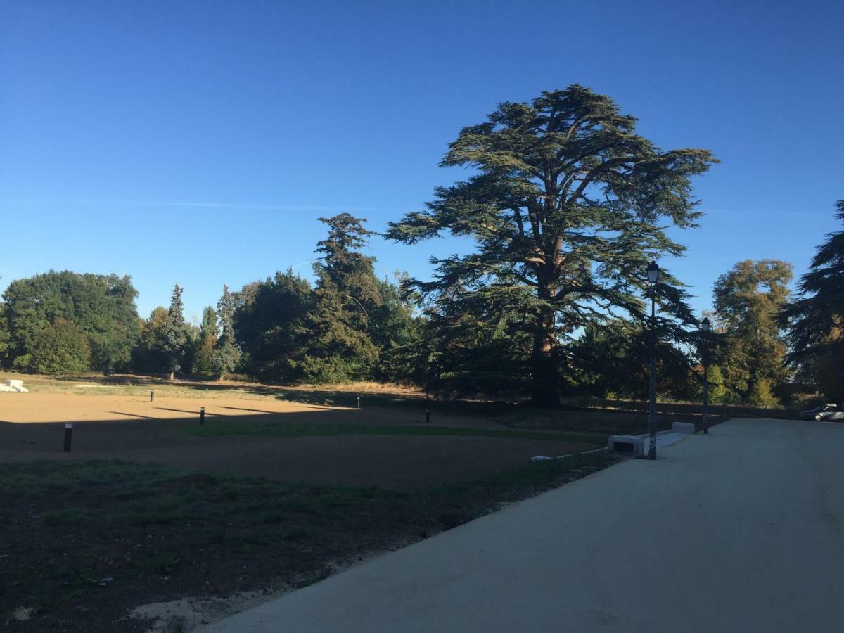 Exceptionnel Château près de Paris Abondant Esterno foto